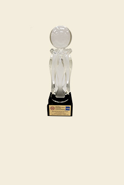 business-awards-2013