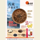 Tibet Cordyceps