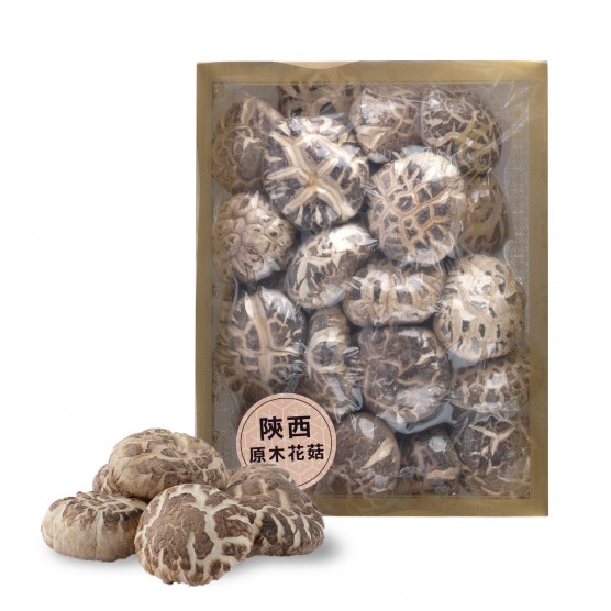 Dried Mushroom